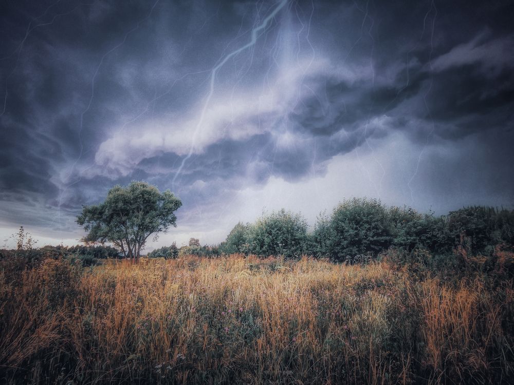 Photograph by Ekaterina Fadeeva