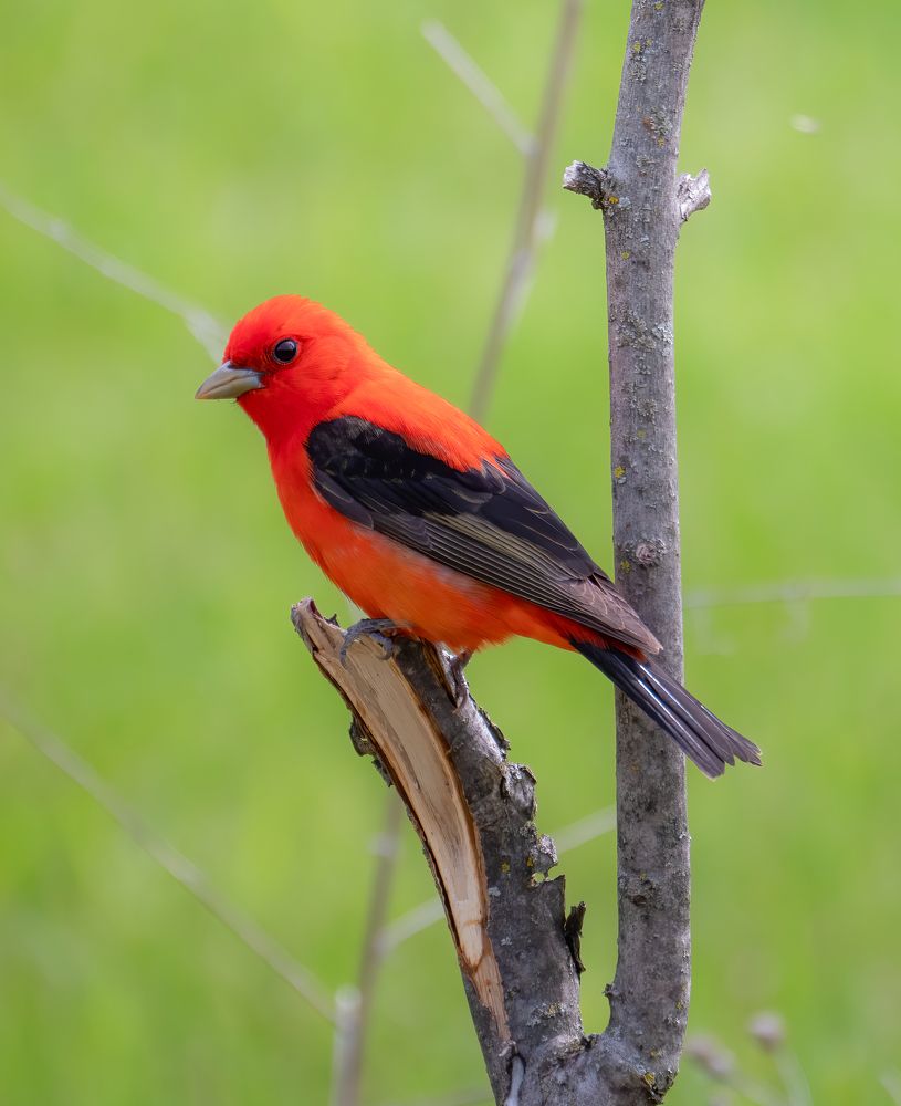 Photograph by Andrew Tri