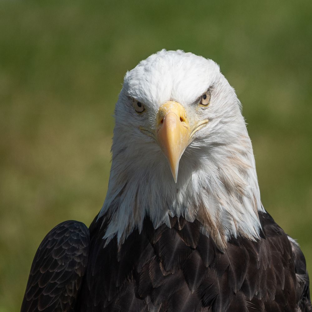 Фотография автора Михаил Боряк