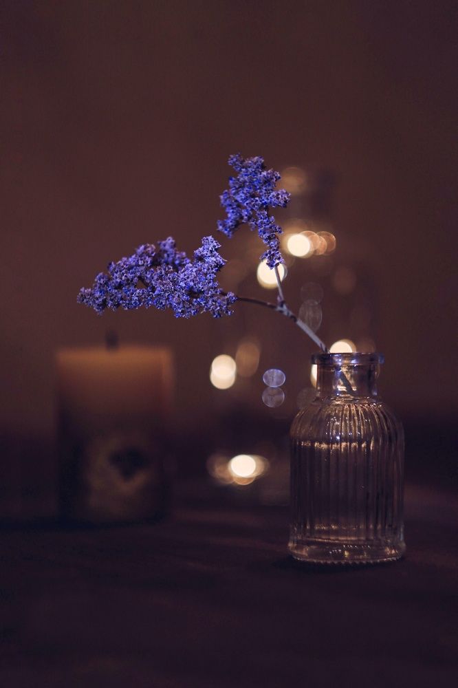 Photograph by Надежда Сабирова