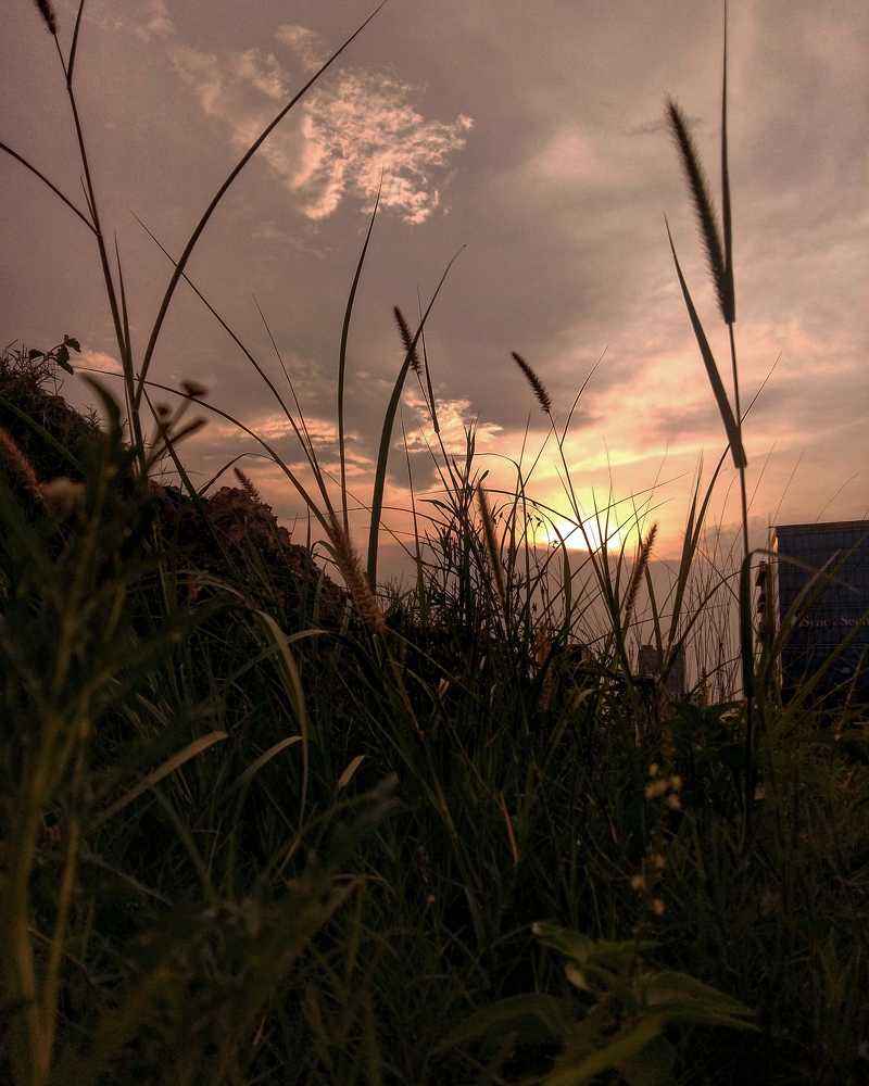 Photograph by Umar Arshad