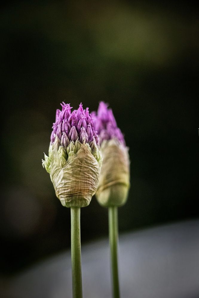 Photograph by Евгений Михеев