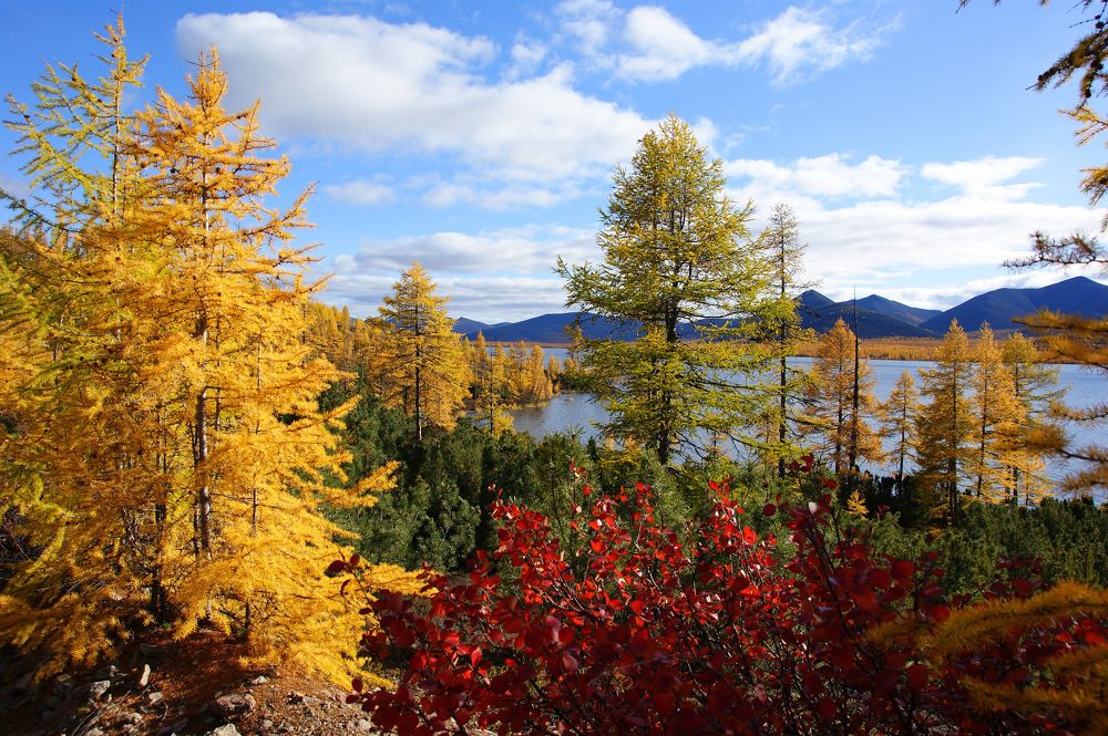 Photograph by Андрей Загребельный