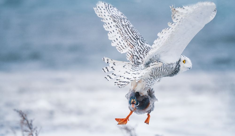 Photograph by  HITTHEROAD