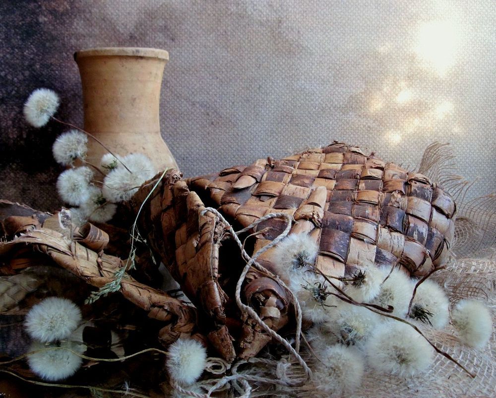 Солнечные зайчики