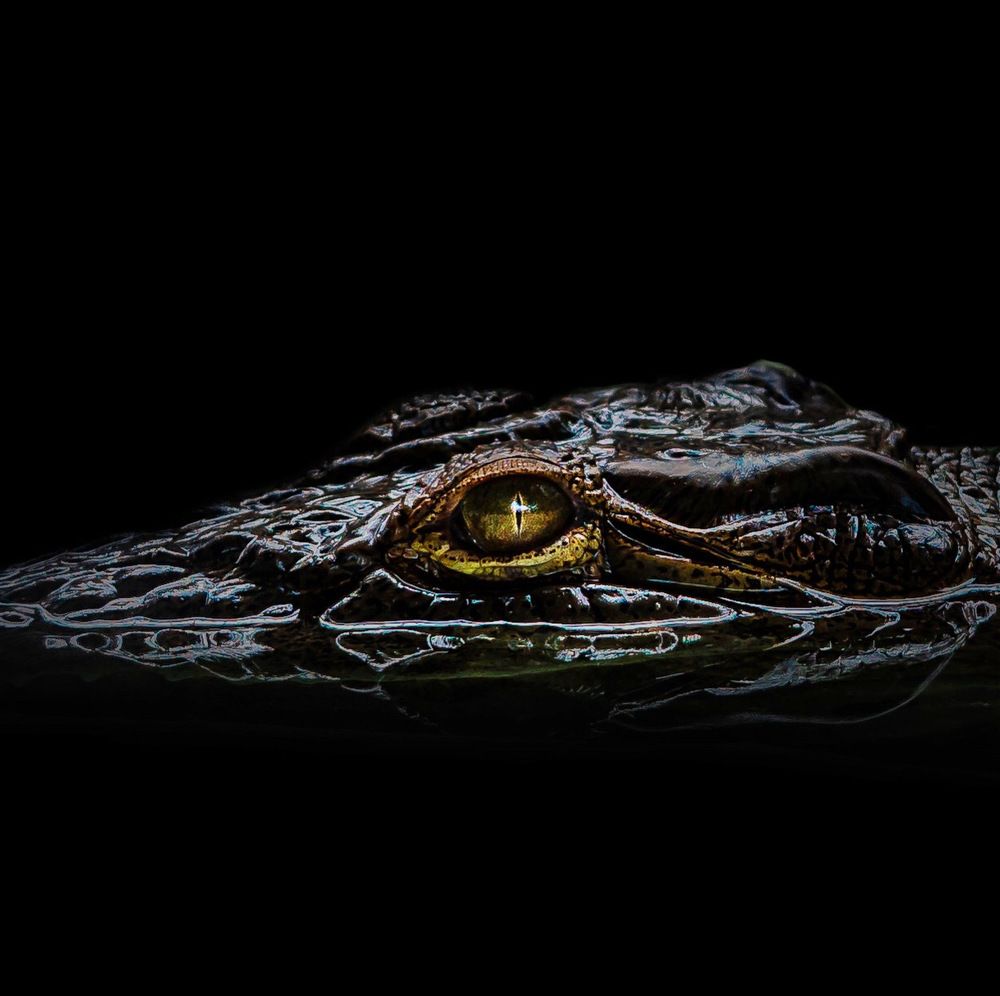Photograph by Amit Mazunder