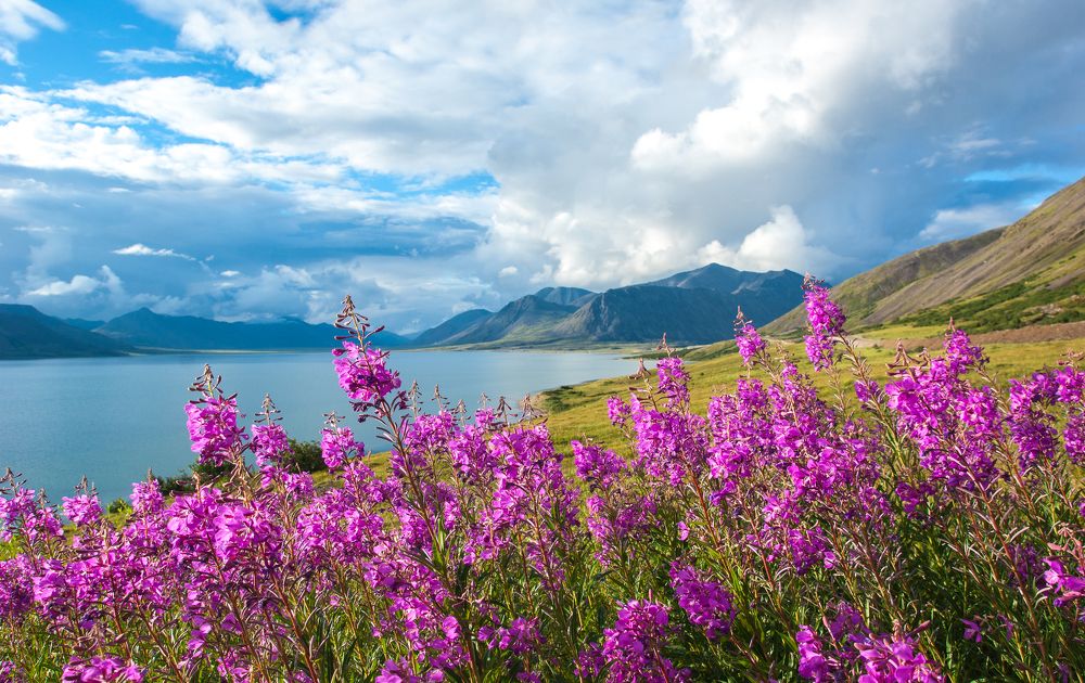 Photograph by Андрей Загребельный