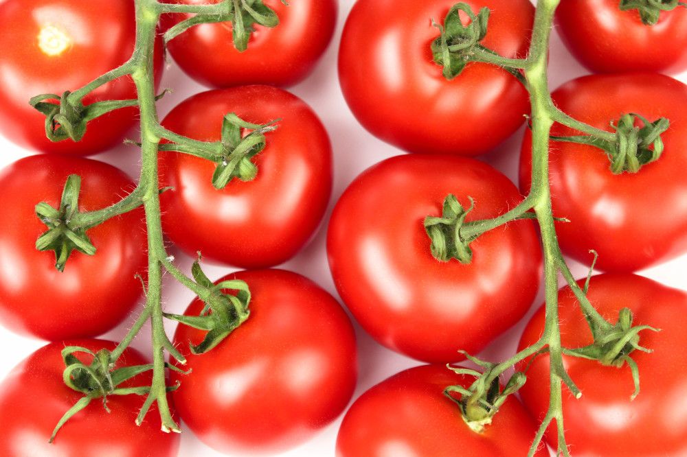 Photograph by Julia Dombrovskaia
