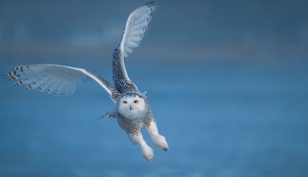 Photograph by  HITTHEROAD