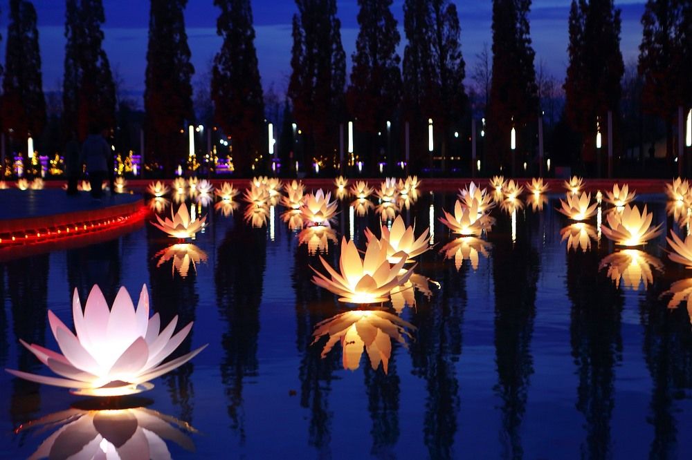 Photograph by Марина Володько