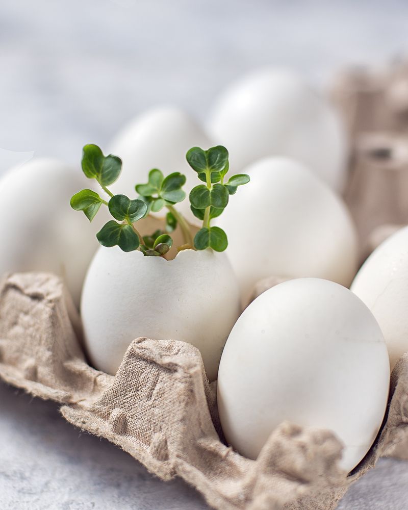 Photograph by Елена Стещенко