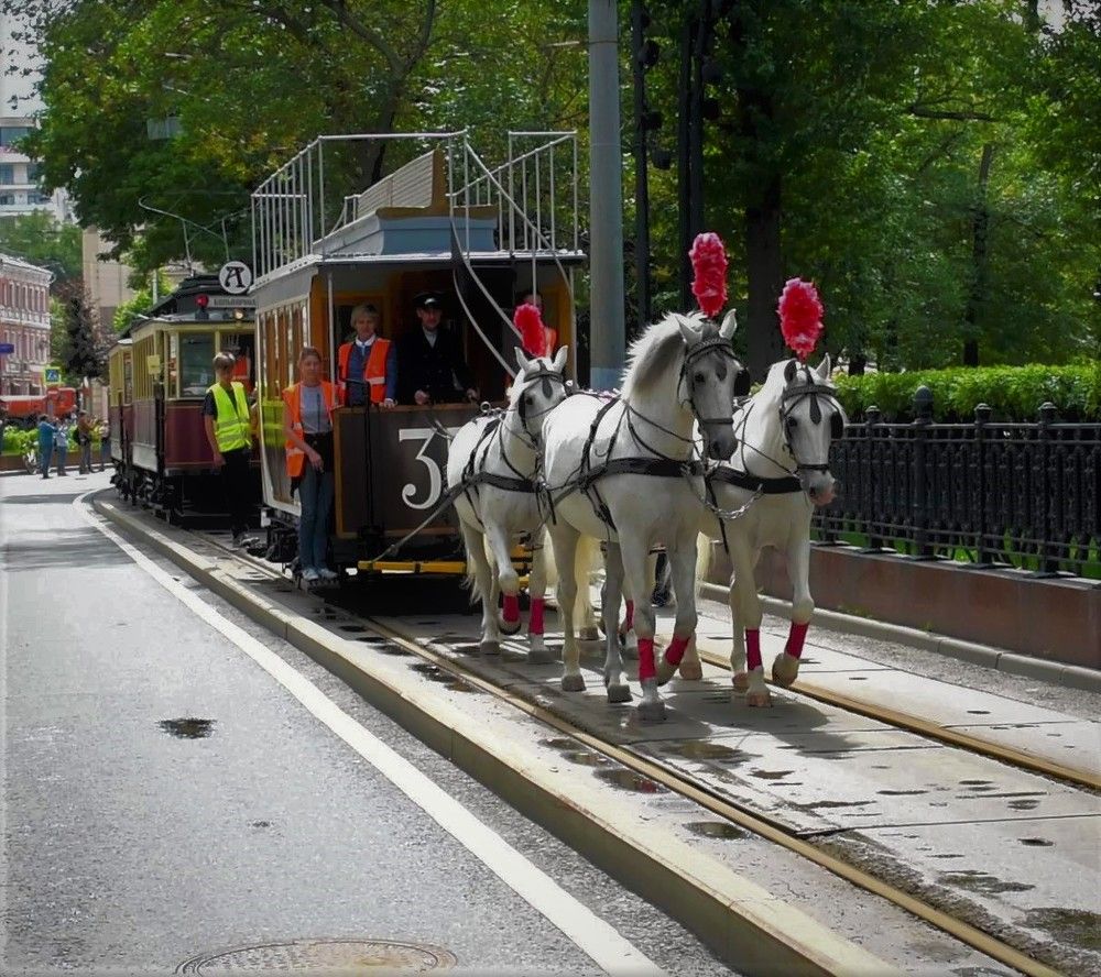 Photograph by Сергей Иванович Носов