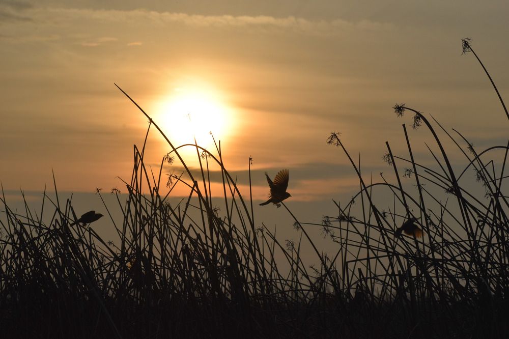 Photograph by Gladys Barros