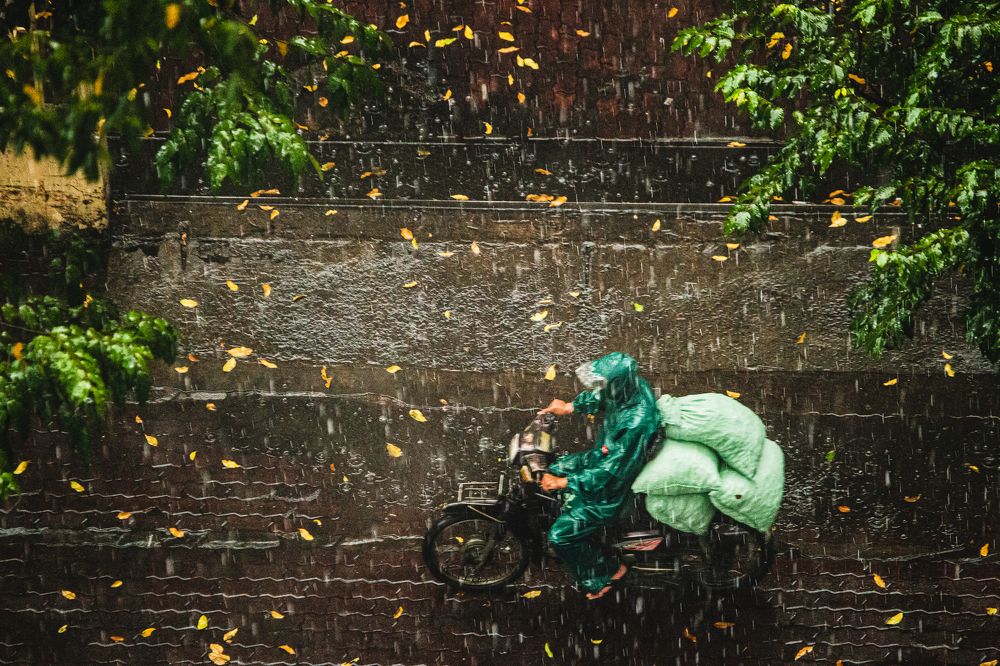 Photograph by Dzintra Zvagina