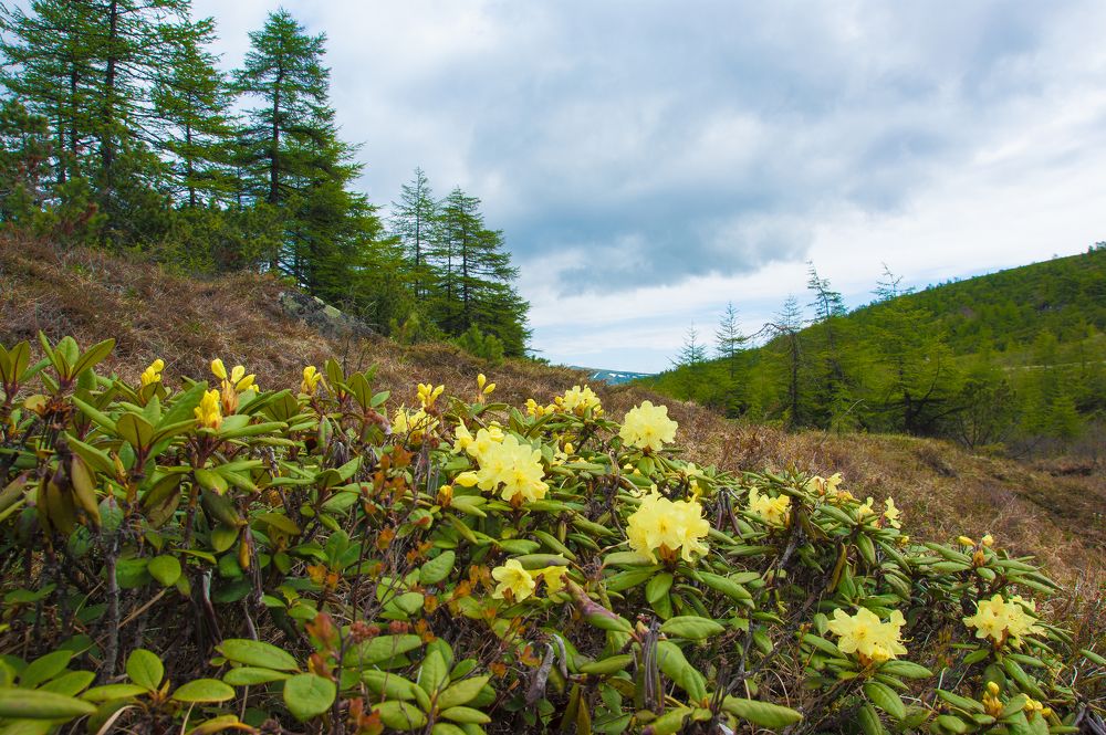 Photograph by Андрей Загребельный