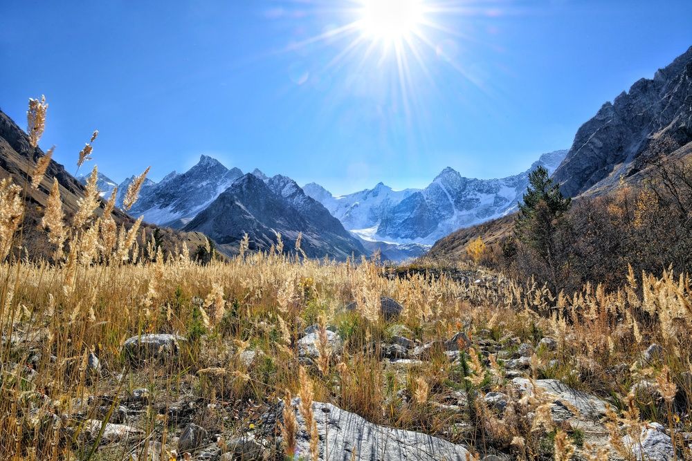 Photograph by Родион