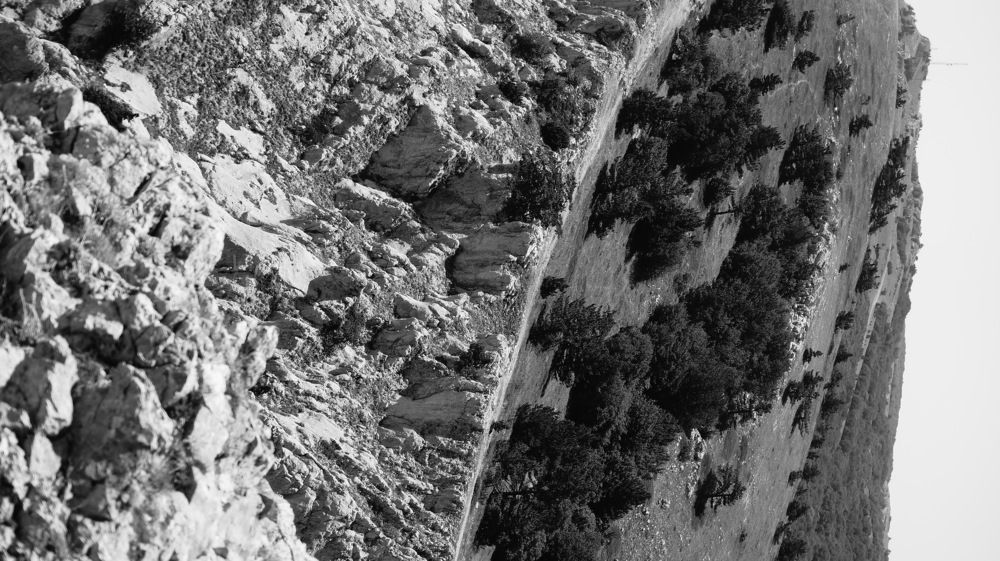 Photograph by Никита Коротких