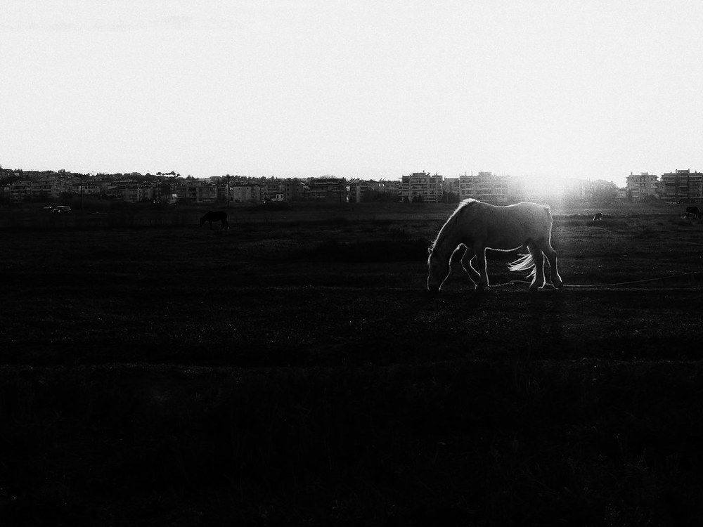 Photograph by Apostolos Liakopoulos