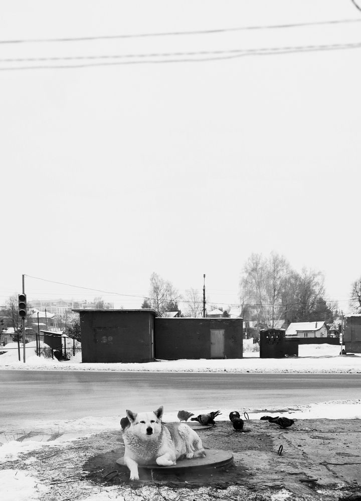 Photograph by Максим Чибисов