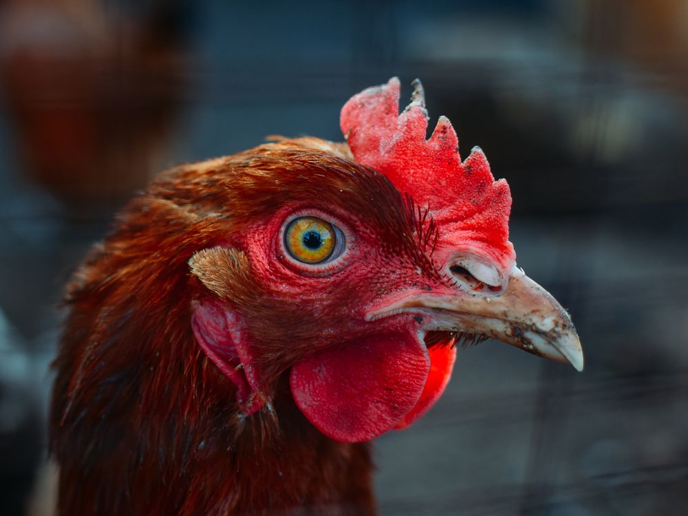 Photograph by Бедряк Юлия