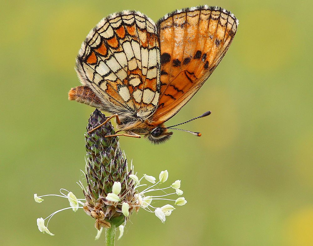 Photograph by Biljana Latinovic
