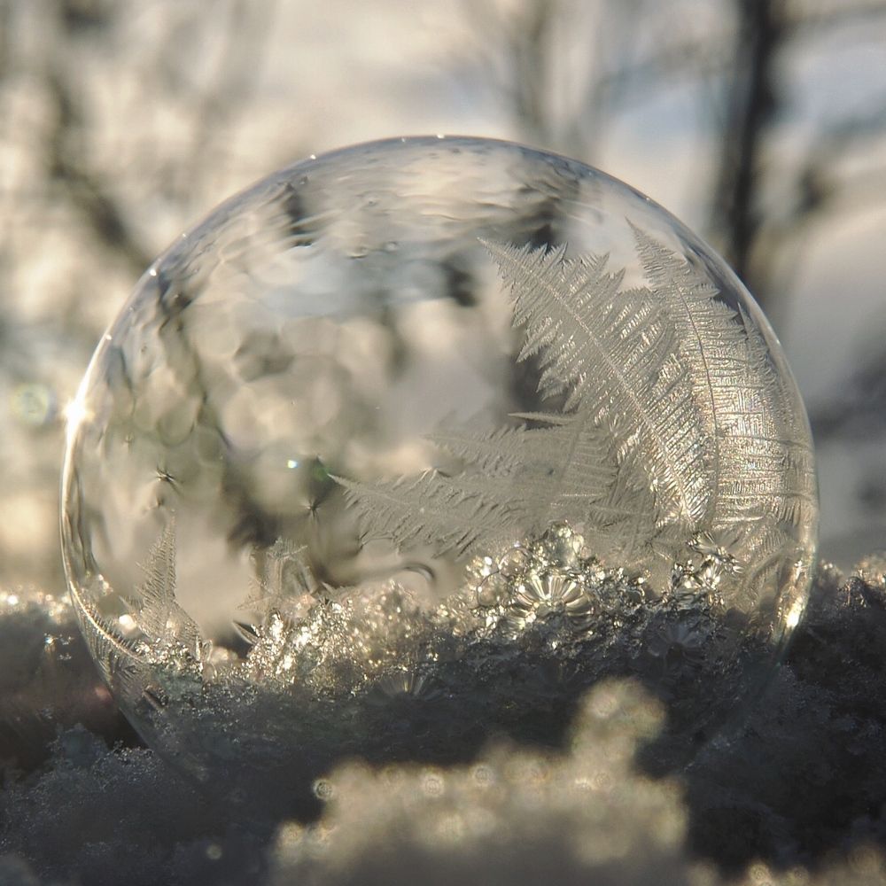 Photograph by Зайцева Катерина