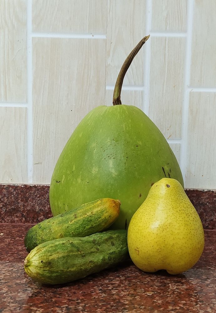 Photograph by ARNAB GHOSAL