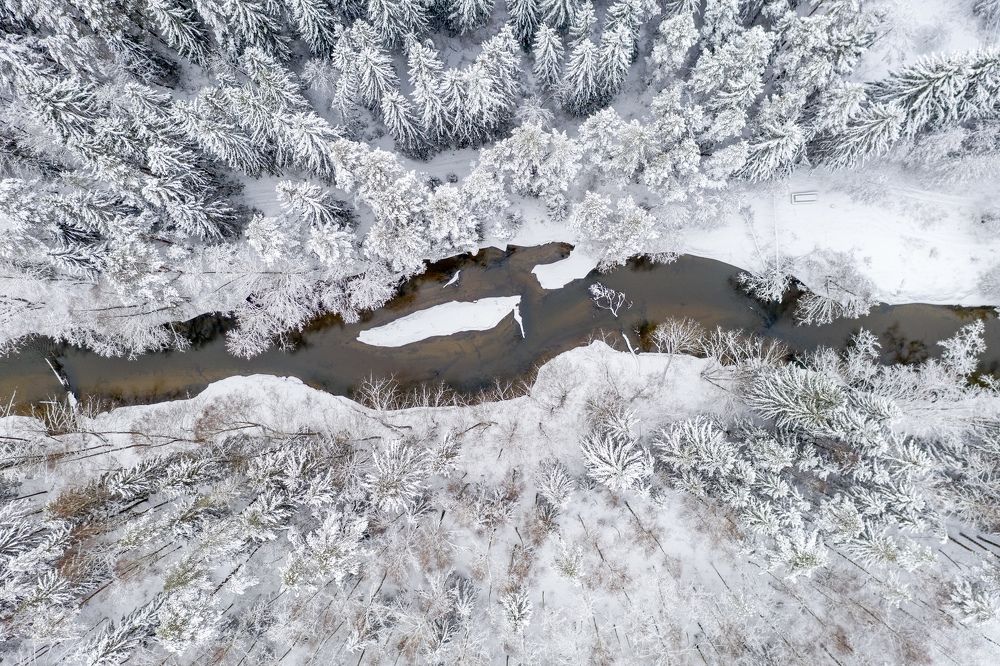 Photograph by SIARHEI RABCHONAK