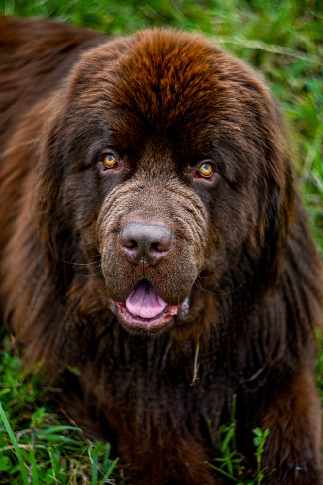 Photograph by Алёна Лозовая