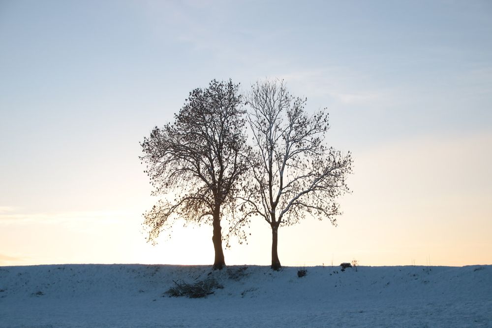Photograph by François Mastrorilli