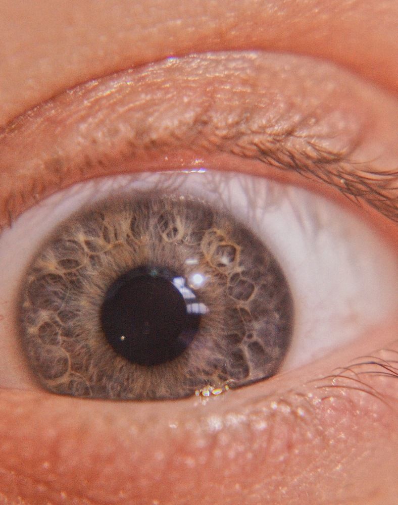 Photograph by Анфиса Снигур