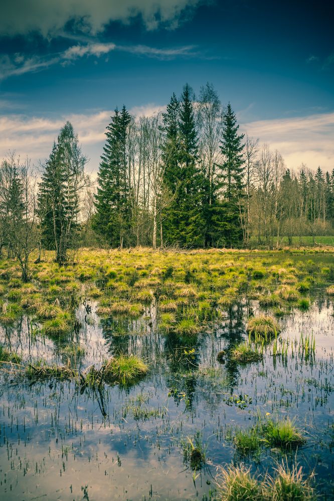 Photograph by Viktoras