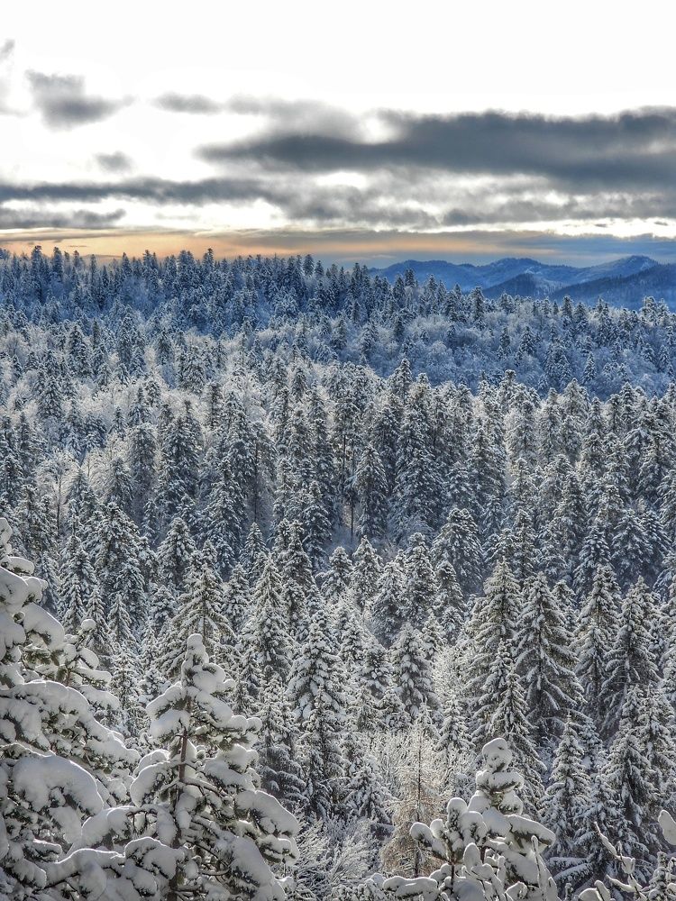 Photograph by Davorin Jurković