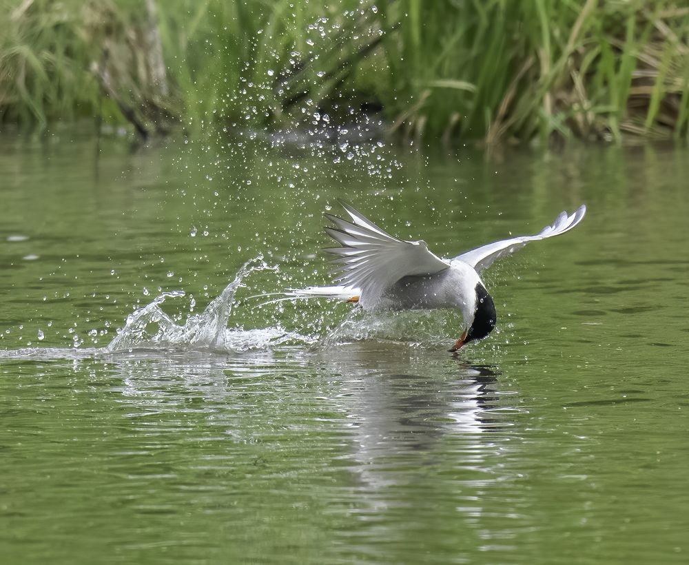 Photograph by Константин Дэм