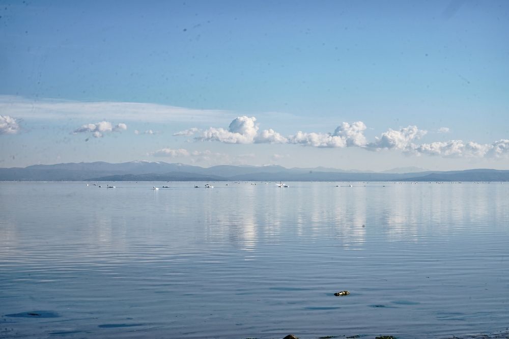 Photograph by Samantha Degrassi