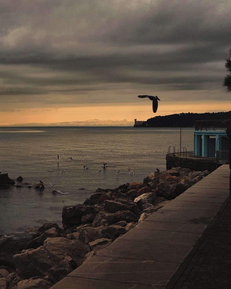 Photograph by Samantha Degrassi