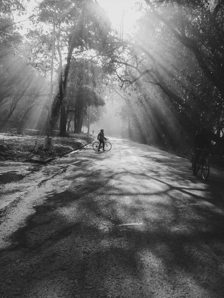 Photograph by urvashi khurana