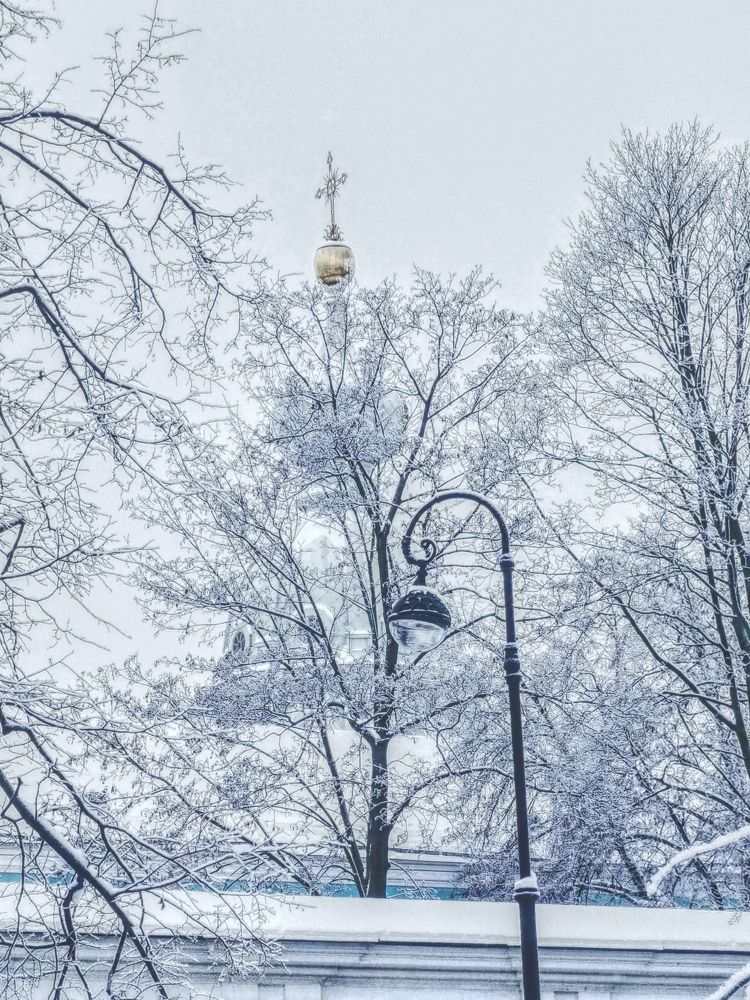 Photograph by Лукина Наталья