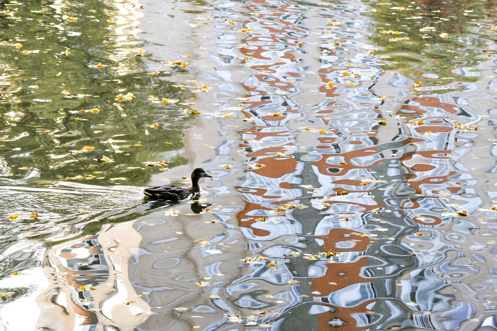 Фотография автора Михаил Пшеннов