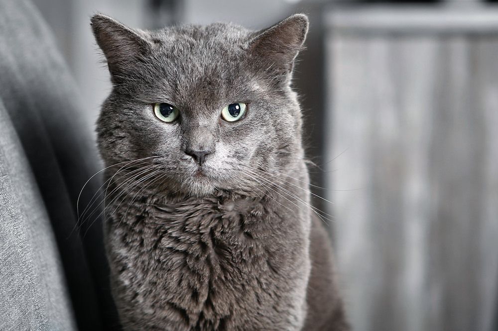 Photograph by Попова Светлана