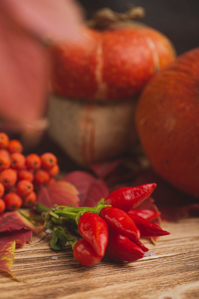 Photograph by Diana Potapenko