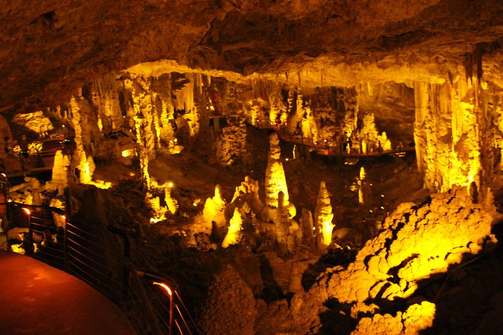 Israeli Autumn 2020 (1)