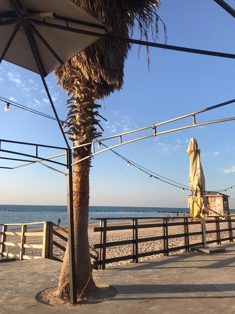 Israeli Autumn 2020 (2)