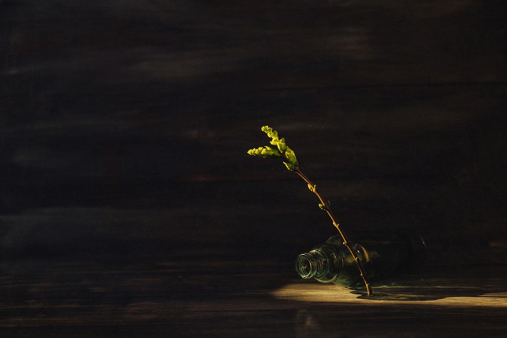 Photograph by MVO (Марк Орлов)