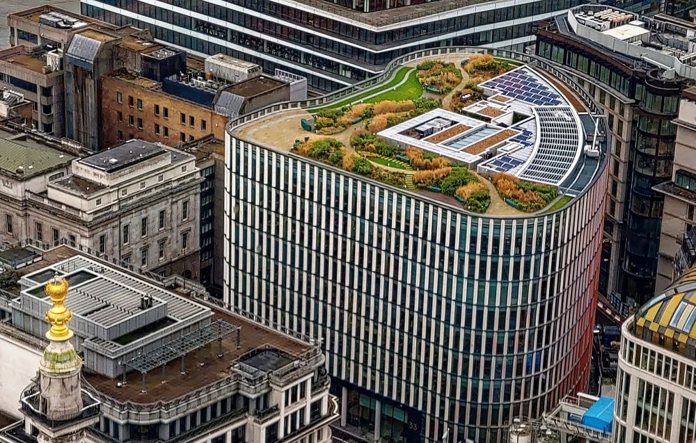 Invigorating garden on the roof of the building