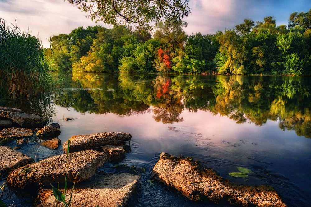 р. Нежеголь. Рассвет.