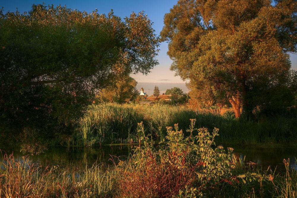 Сельский пейзаж