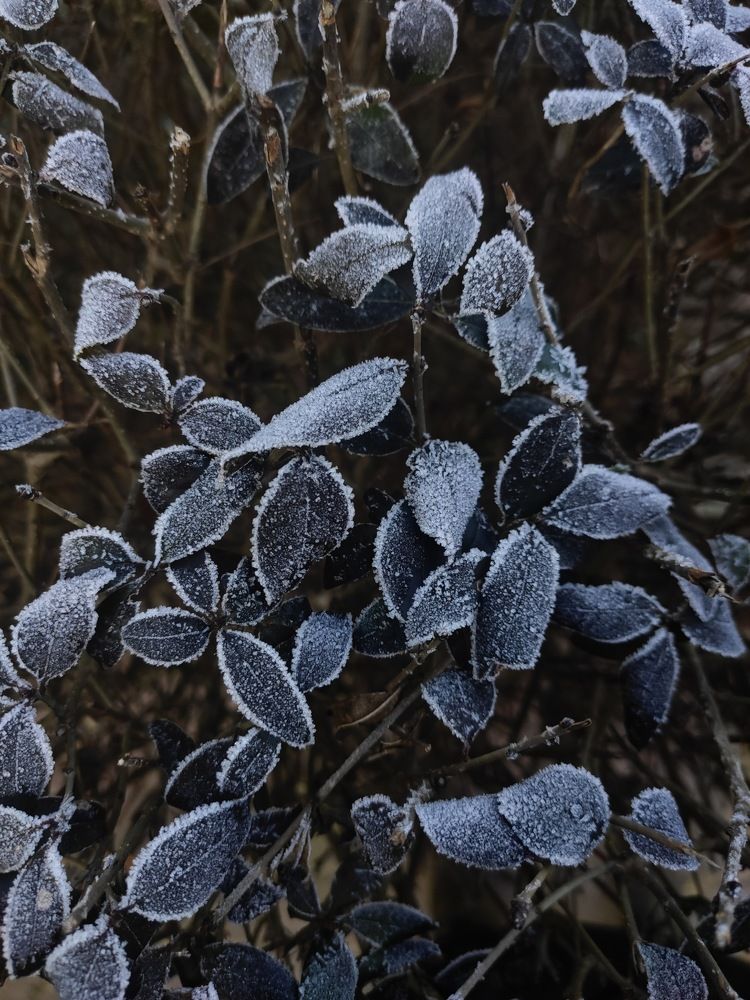 Photograph by Любовь Константиниди