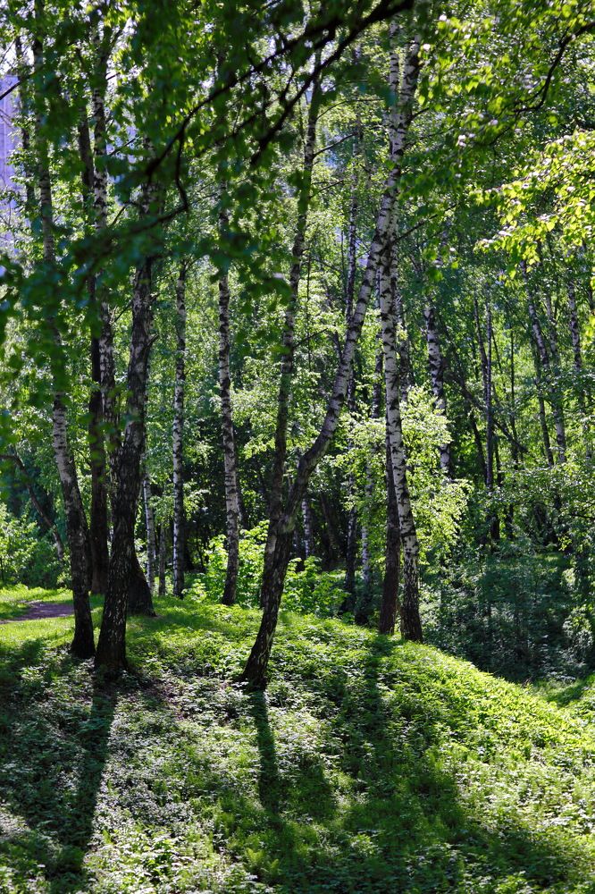 Photograph by Константин Лагоденко