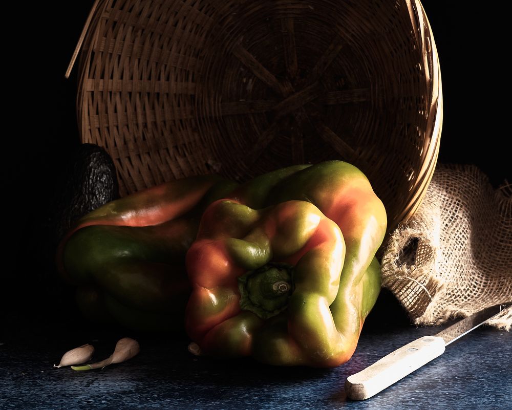 Photograph by Bryam Blanco